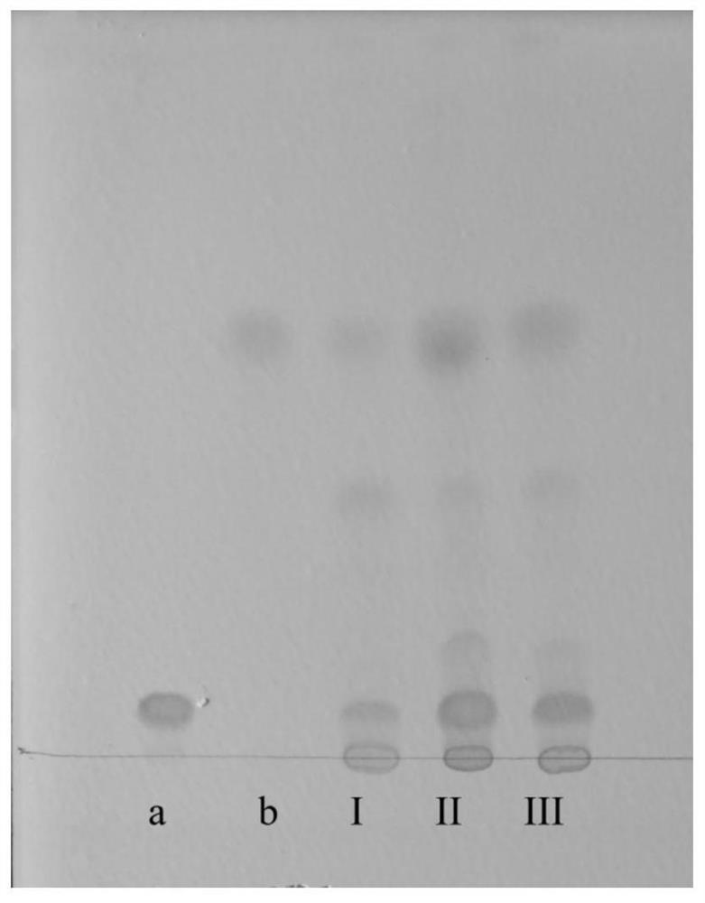 TLC identification method of Pseudogentian acuminate