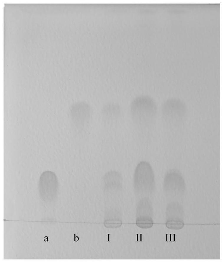 TLC identification method of Pseudogentian acuminate