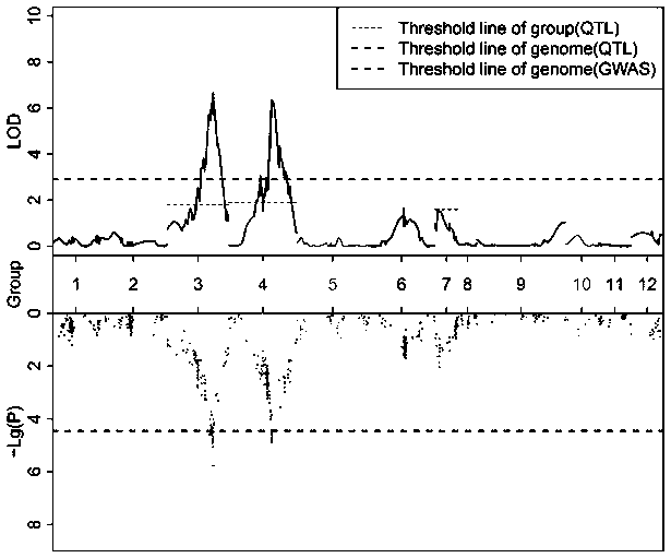 InDel molecular marker 5mBi3 for identifying bitterness traits of melon fruit and primer and application thereof