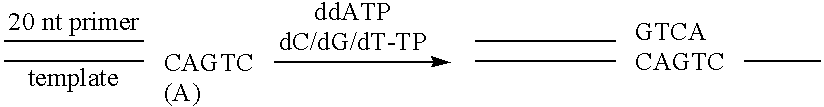 Apparatus and method for separating and purifying polynucleotides