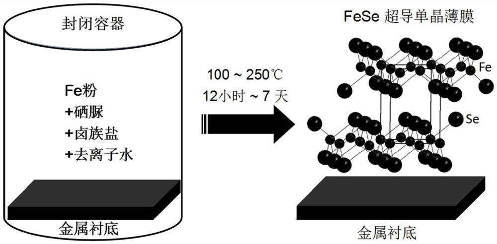 Hydrothermal preparation method and product of superconducting single crystal film