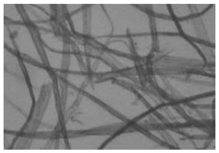 Insulating paperboard production method capable of improving interlayer bonding capacity