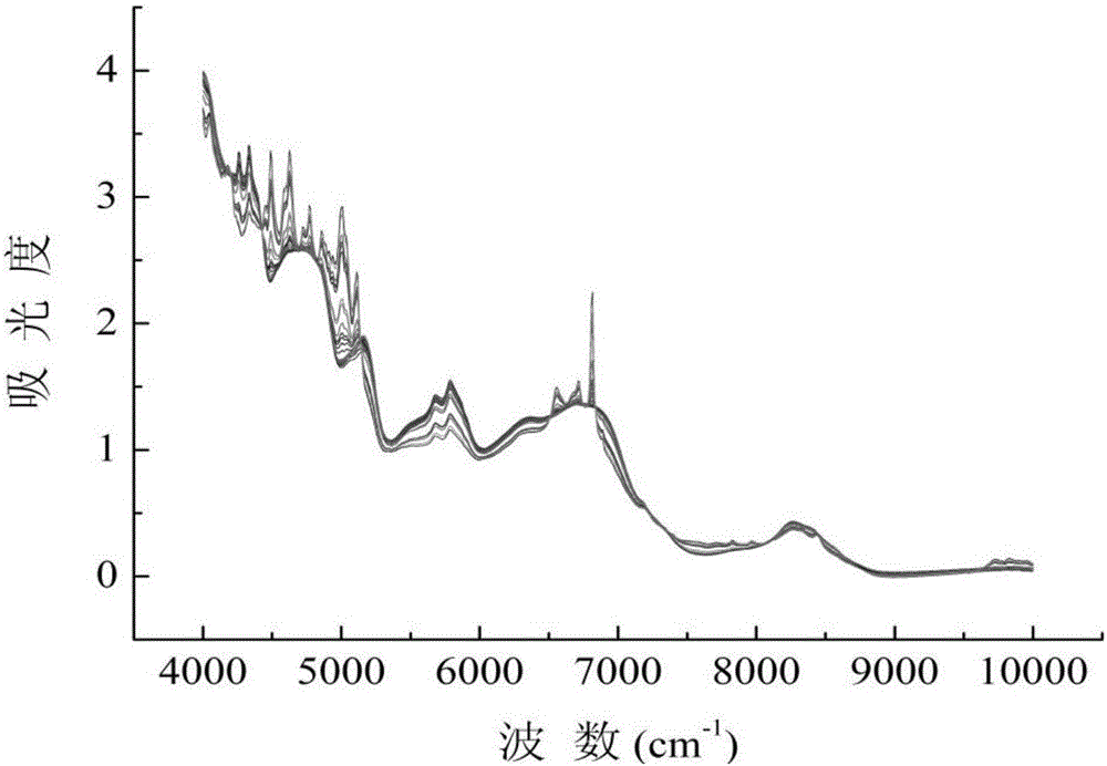 Near-infrared autocorrelation spectrum detection method for melamine doped in milk powder