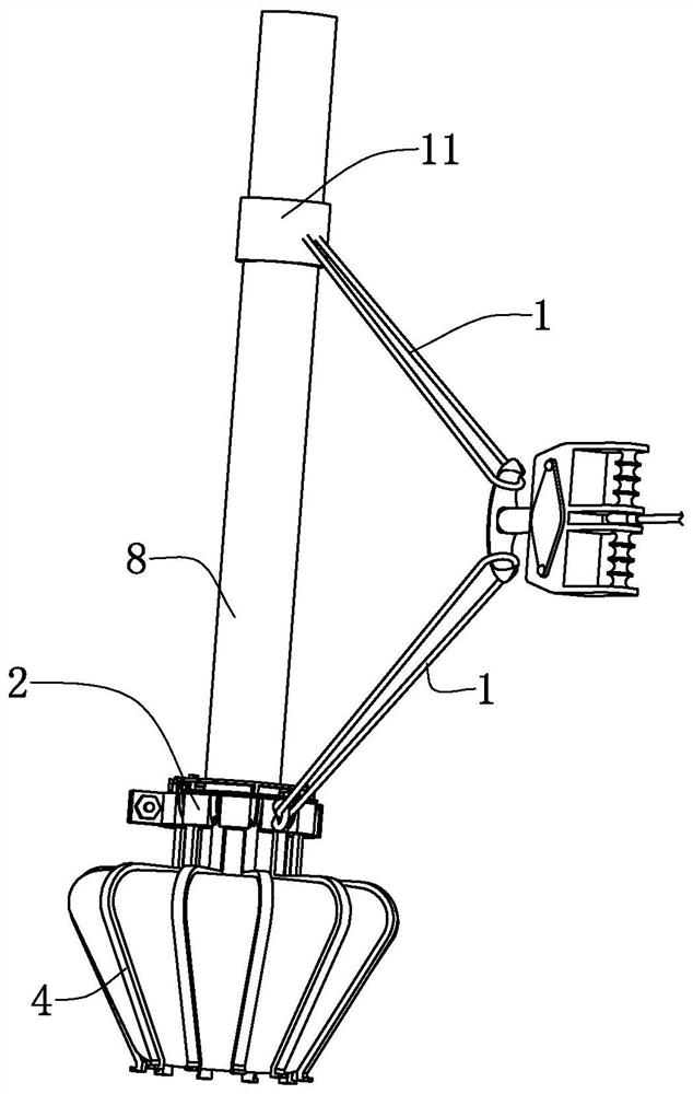 Tree transplanting sling