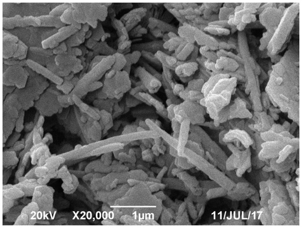 A kind of macroporous kaolinite and its preparation and application