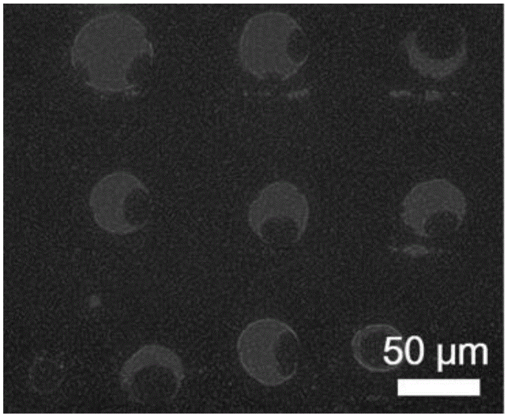 Method for preparing phase-separation giant phospholipid vesicle array by using point-surface electrode electric field and on basis of micro contact stripping technique