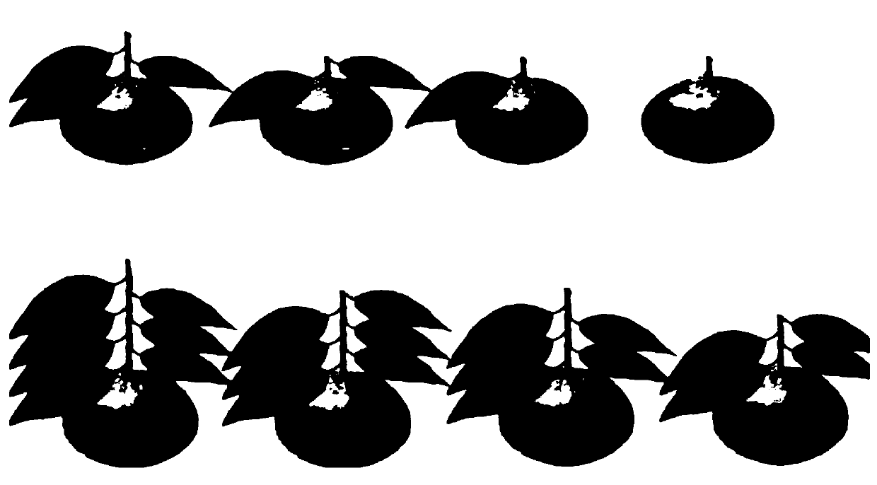 Fruit thinning method for specially-early mature citrus unshiu