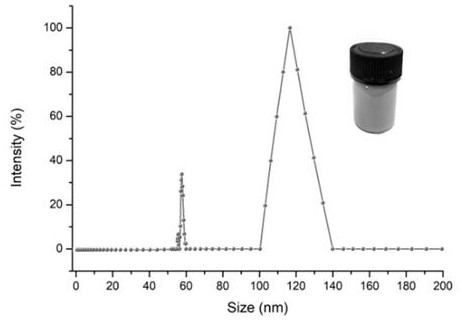 Based on bionic nano-microstructure chip, endotoxin poison sers quantitative detection system, method and application