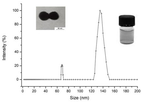 Based on bionic nano-microstructure chip, endotoxin poison sers quantitative detection system, method and application