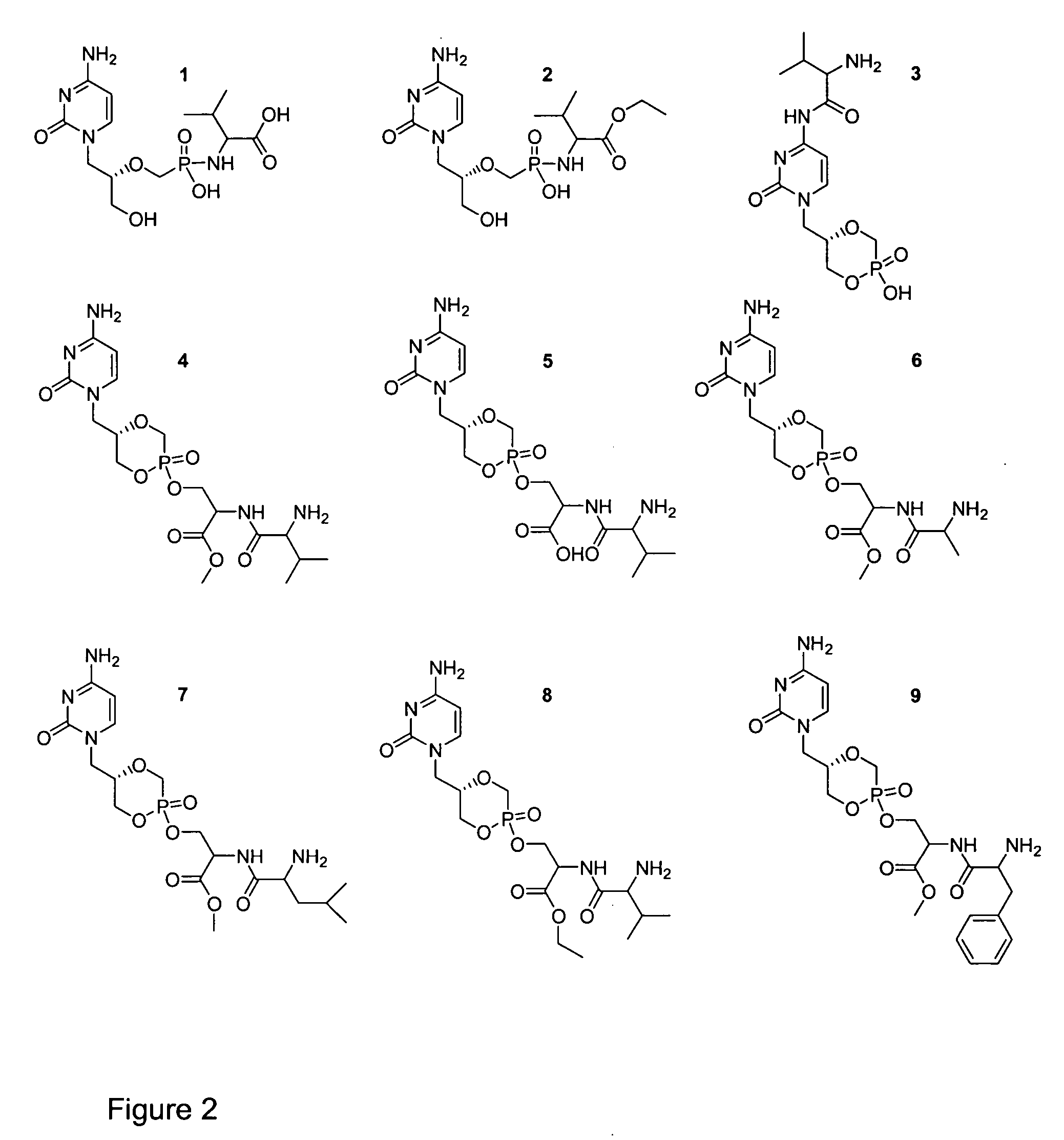 Cidofovir peptide conjugates as prodrugs