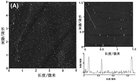 A preparation method of nano-tin dioxide/carbon base point/nano-silver surface-enhanced Raman substrate