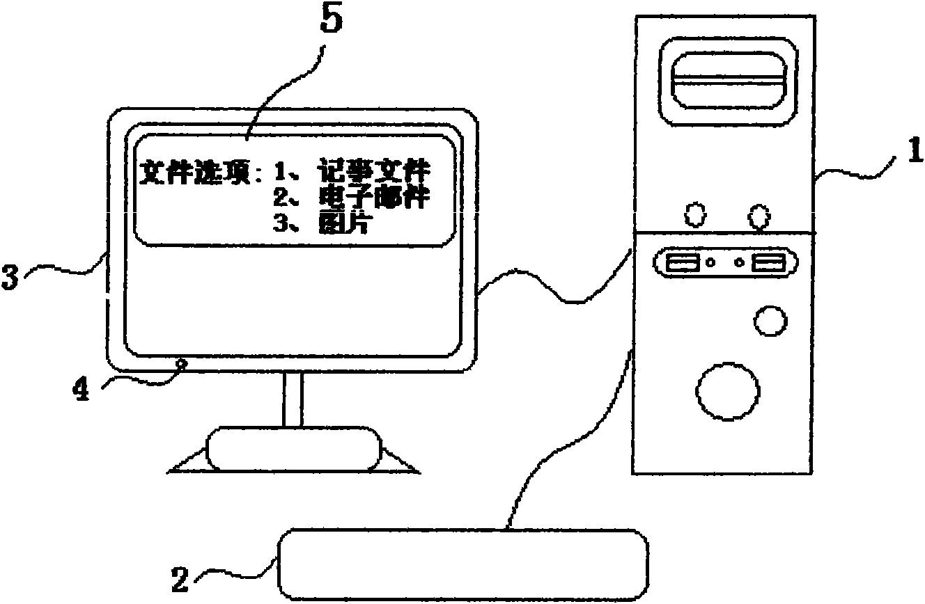 Computer display convenient for displaying record information