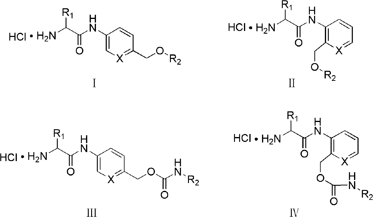 Amino acid-fluorophore compound and application thereof