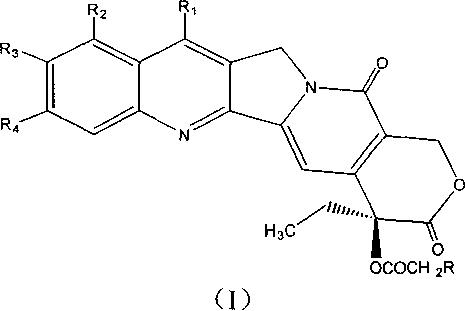 20-bit esterified camptothecine derivate, its preparation method and drug composite and use
