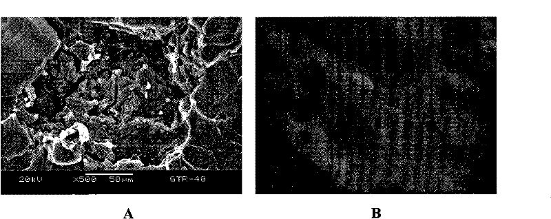 Preparation method of waste tire rubber/polyethylene foam material