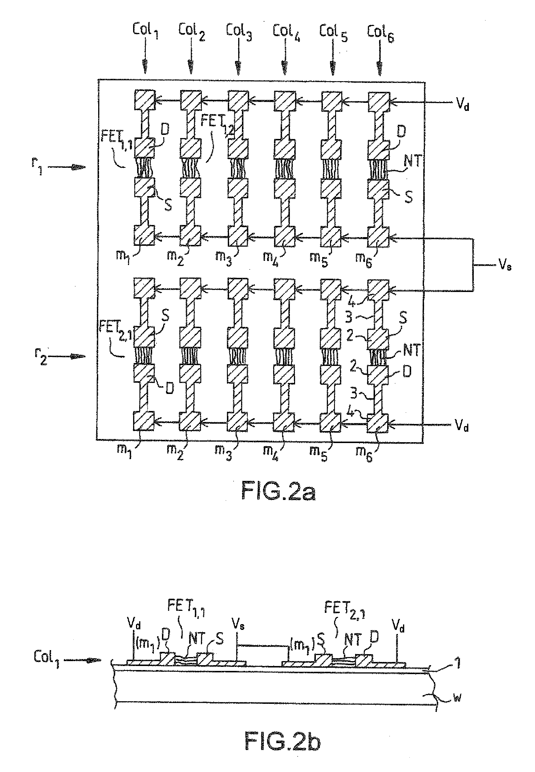 Array of Fet Transistors Having a Nanotube or Nanowire Semiconductor Element and Corresponding Electronic Device, For the Detection of Analytes