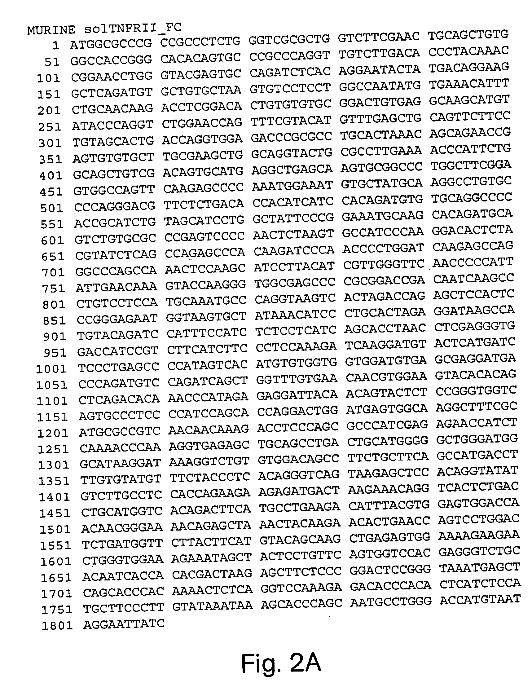 Compositions and methods for treating rage-associated disorders
