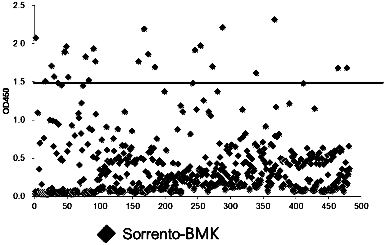 CD38 antibody, chimeric antigen receptor and drug