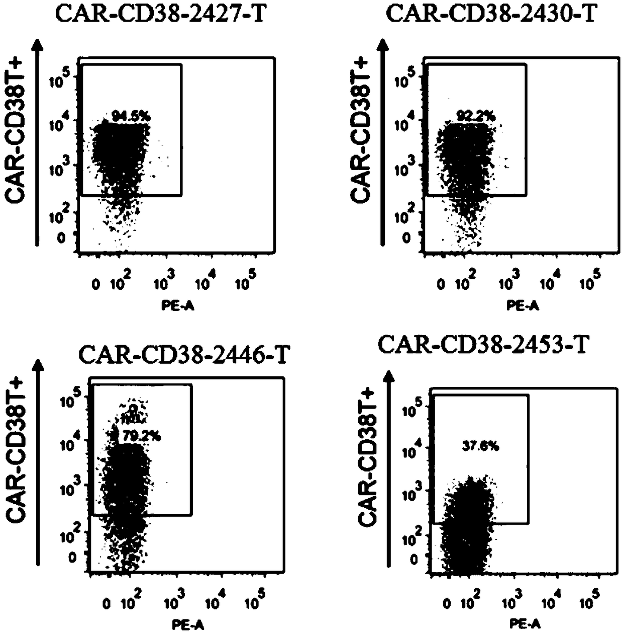 CD38 antibody, chimeric antigen receptor and drug