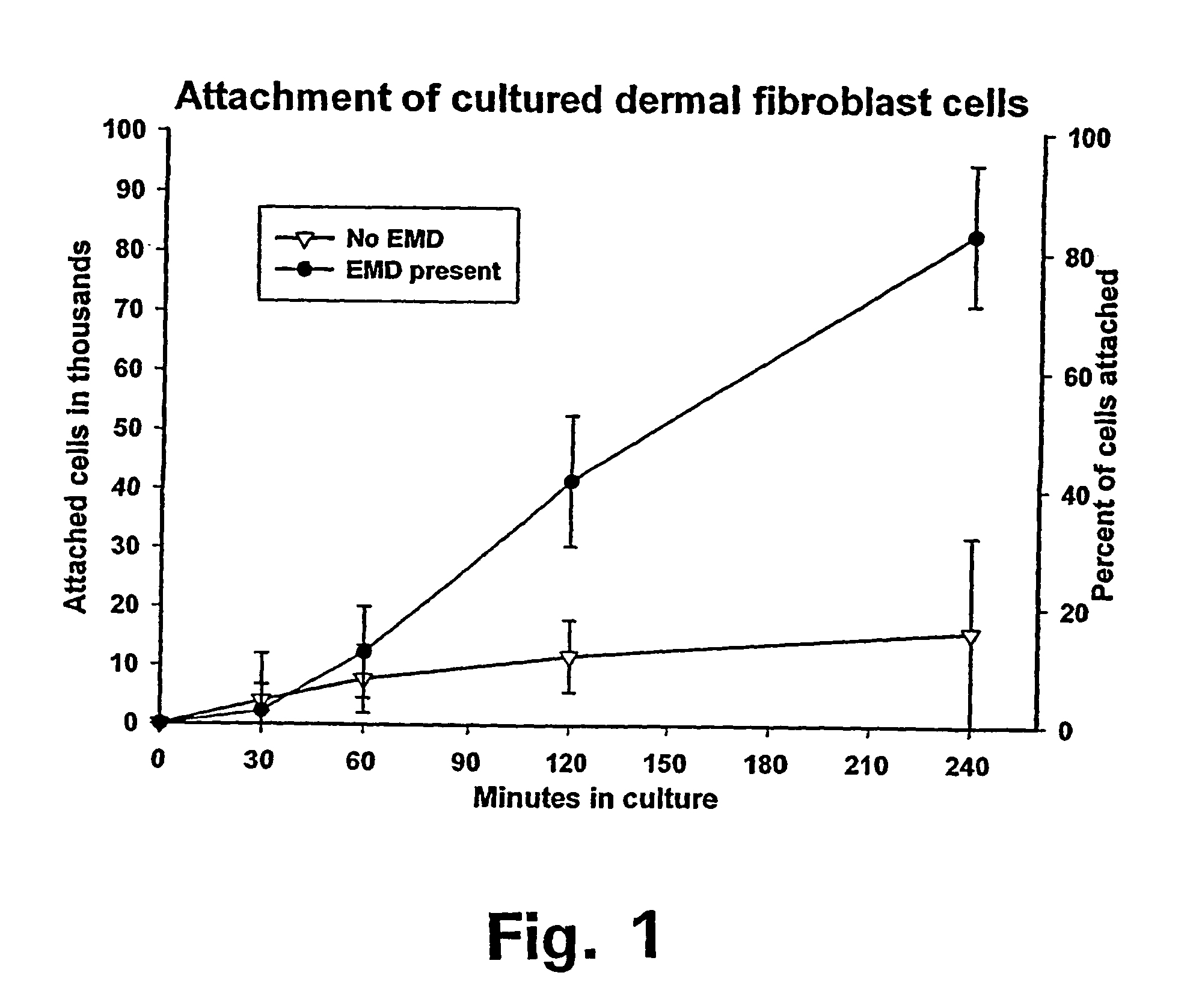 Matrix protein compositions for guided connective tissue growth