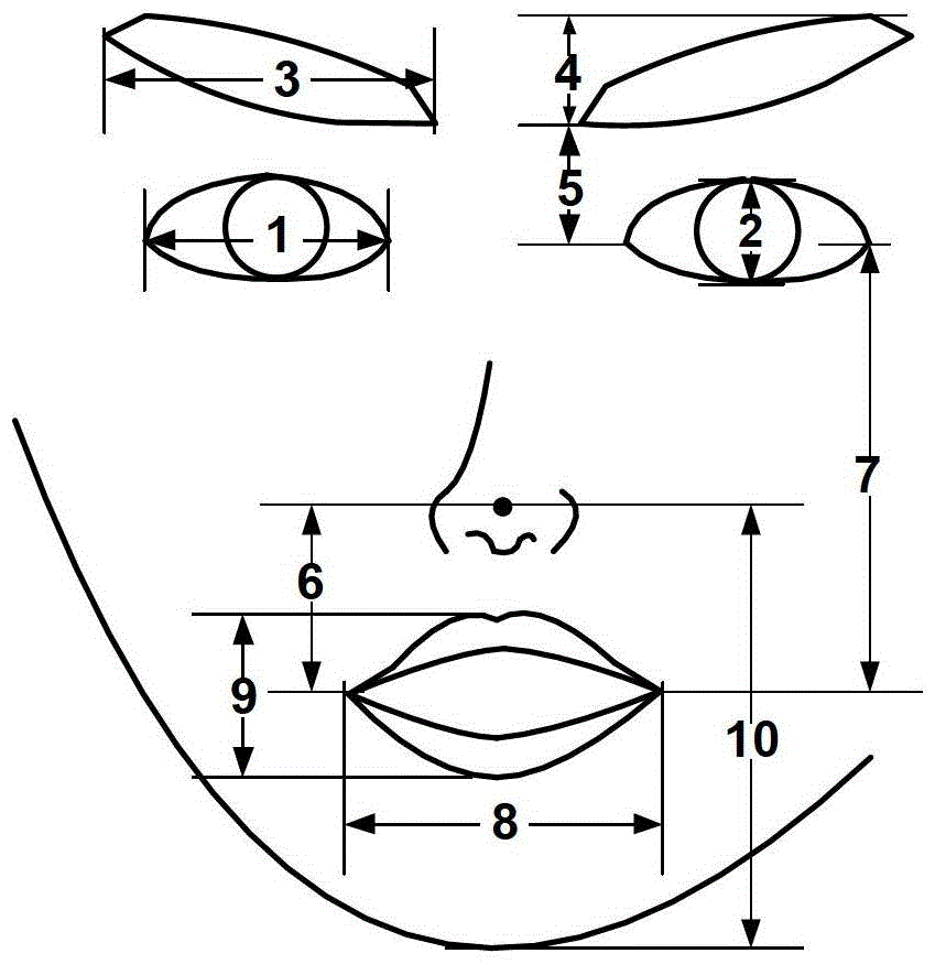 Speech-Vision Fusion Emotion Recognition Method Based on Clue Neural Network