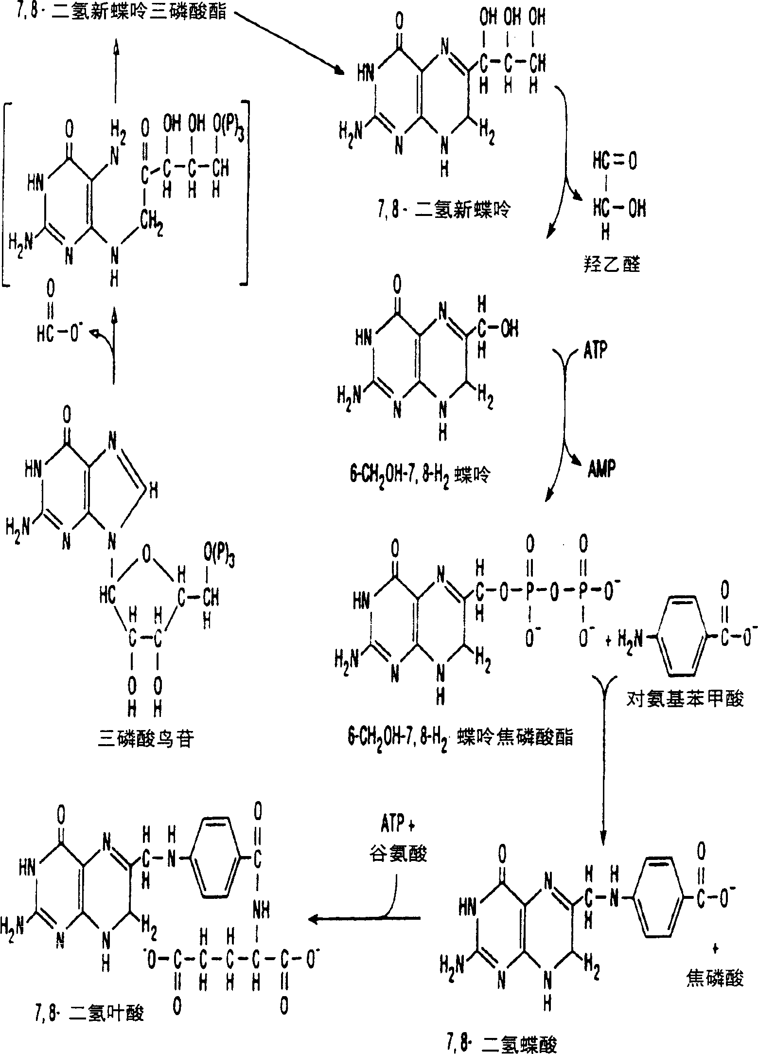Production of bioarailable folic acid