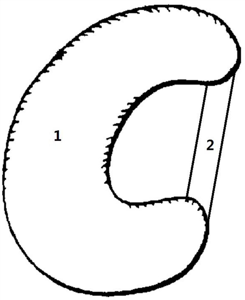 Lateral meniscus graft substitute with bone bridge-like fixation structure and manufacturing method