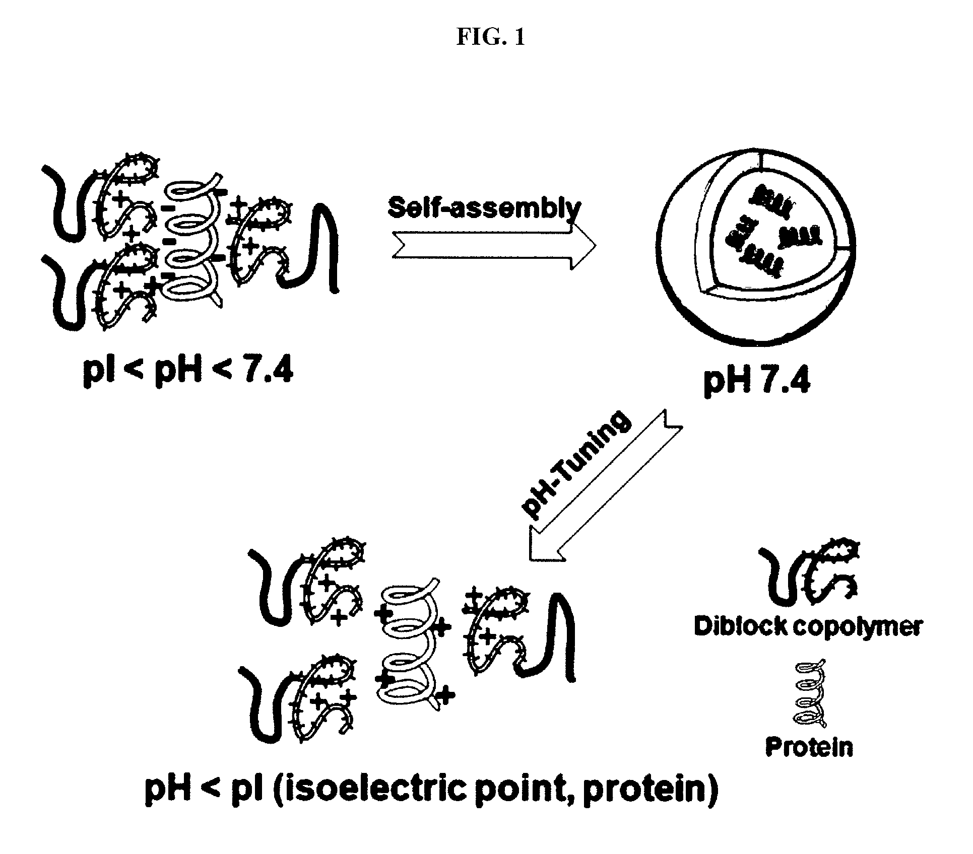 Ph-sensitive block copolymer forming polyionic complex micelles and drug or protein carrier using the same