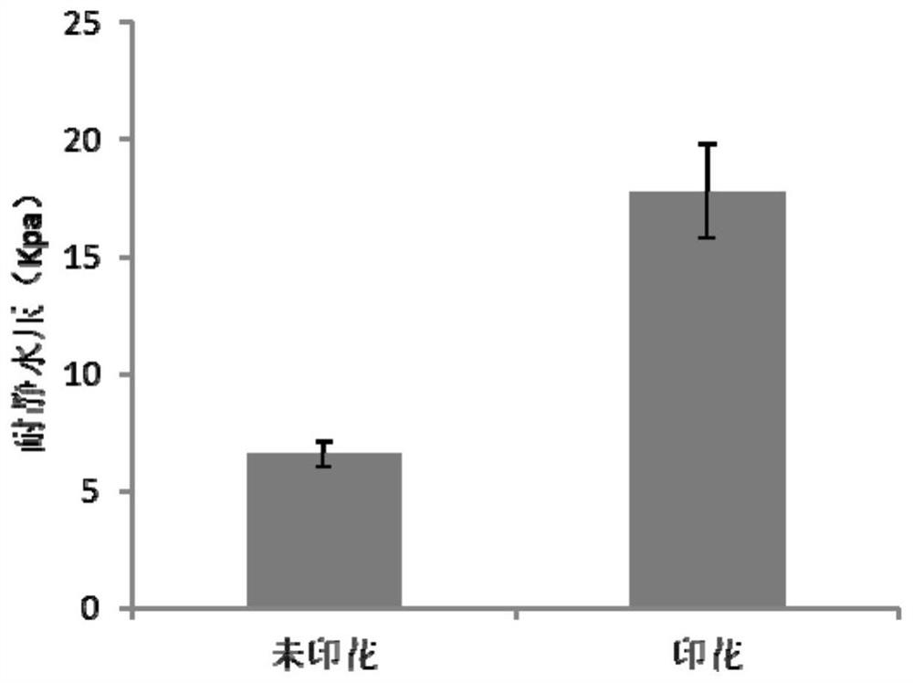 Thermal transfer printing method of waterproof and moisture-permeable nanofiber membrane