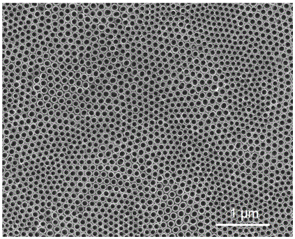 Method for preparing zinc oxide-doped titanium dioxide nanotube on pure titanium surface