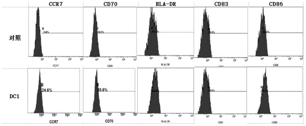 Kit for activating esophagus cancer specific immunity response