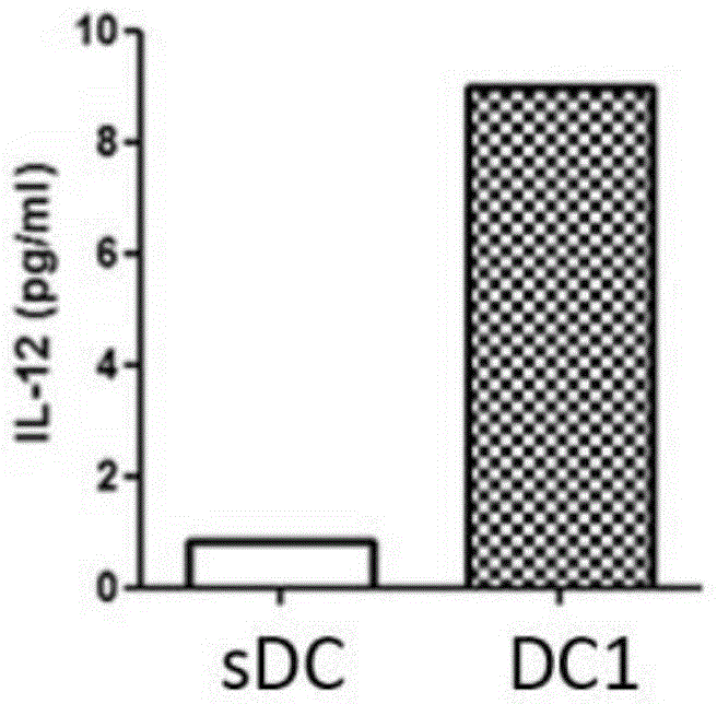 Kit for activating esophagus cancer specific immunity response