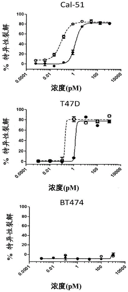 Bispecific bivalent scfv-Fc molecules