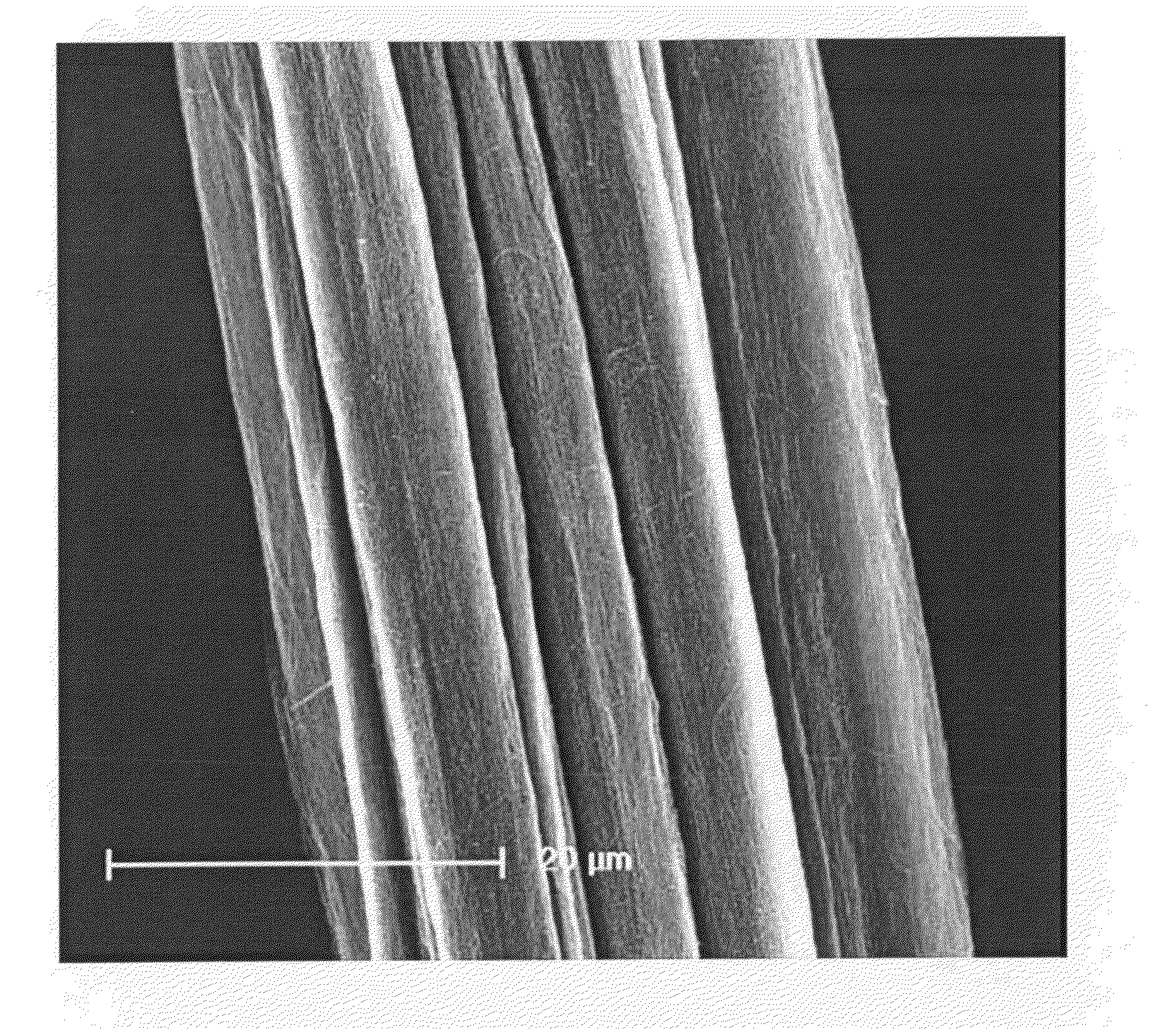 Carbon nanotube yarn and method for making the same