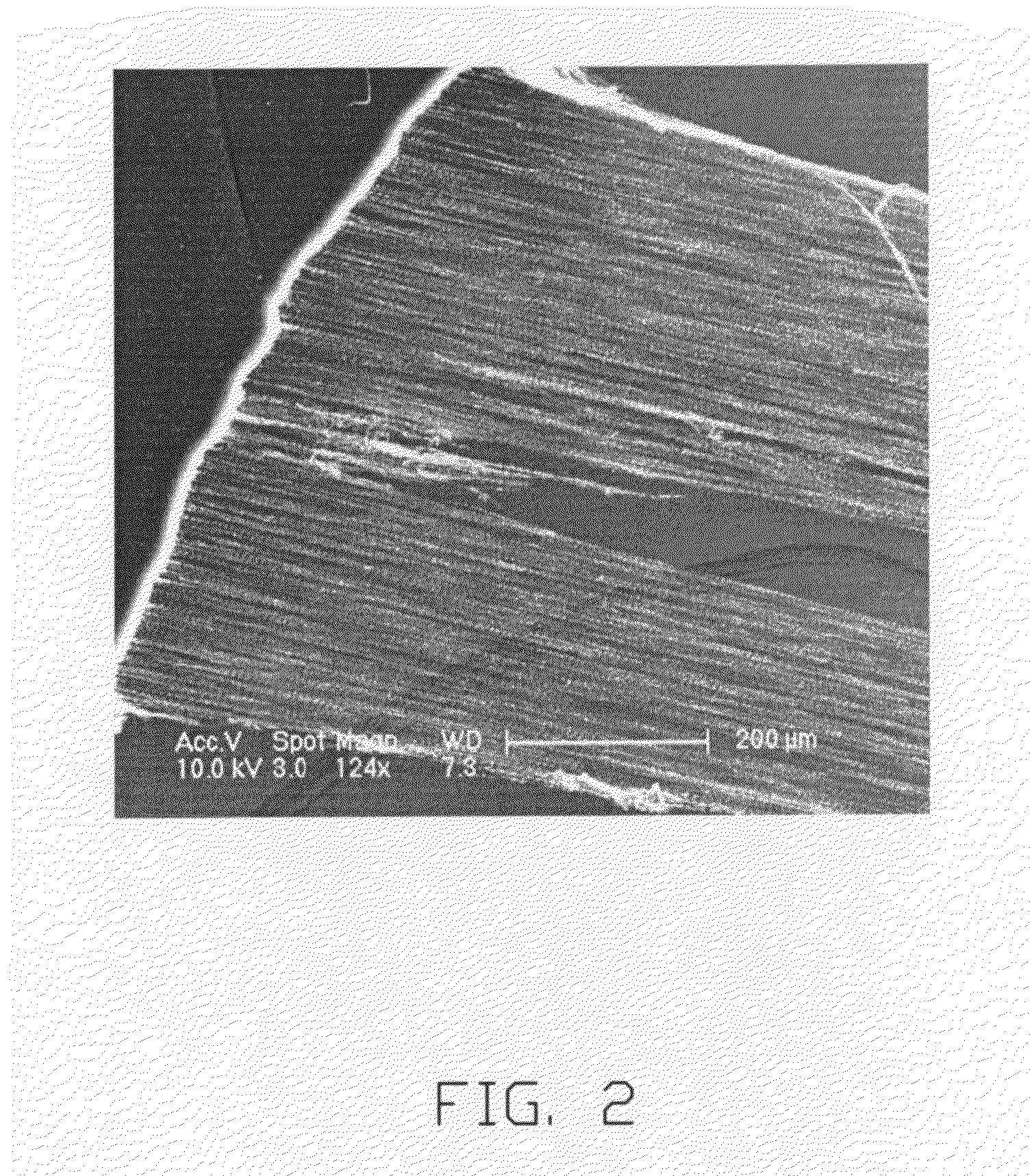 Carbon nanotube yarn and method for making the same