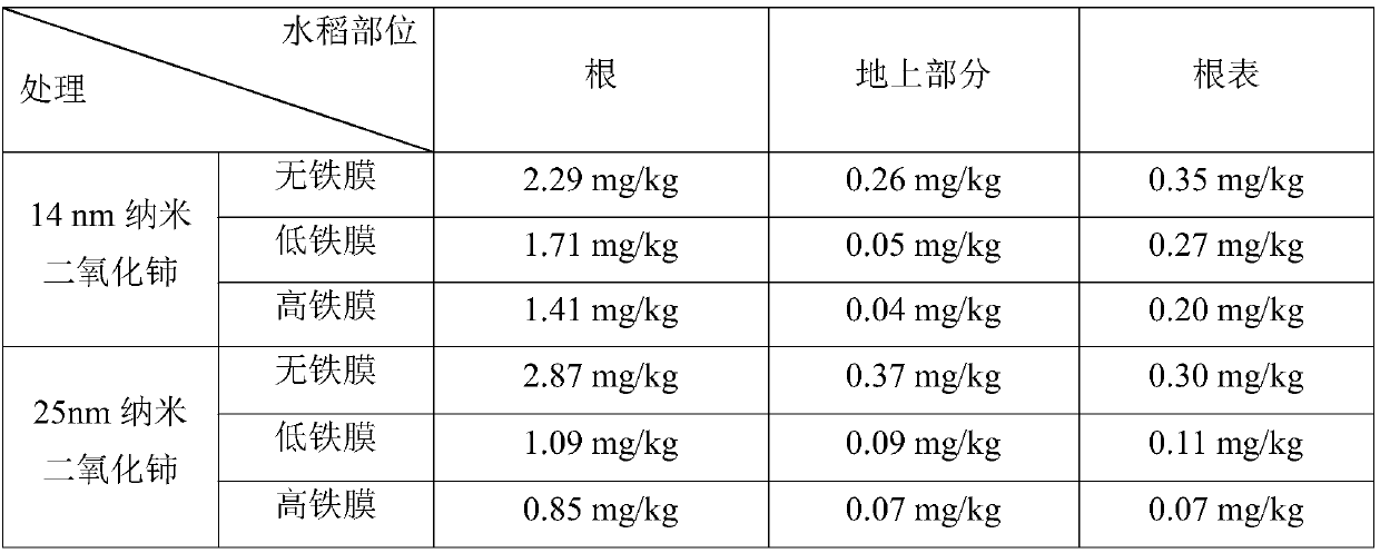 Method for reducing accumulated nanometer ceric oxide in rice seedlings