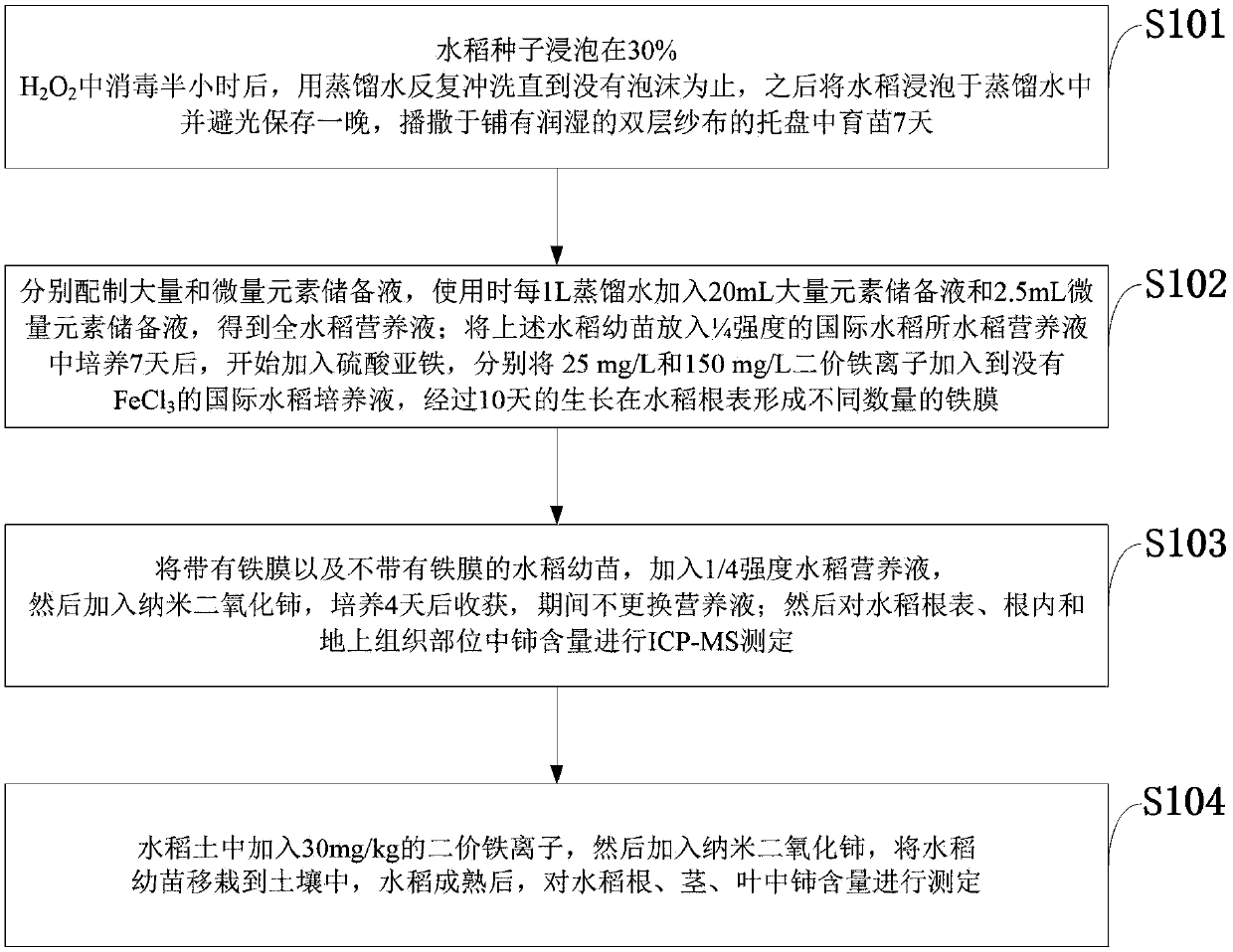 Method for reducing accumulated nanometer ceric oxide in rice seedlings