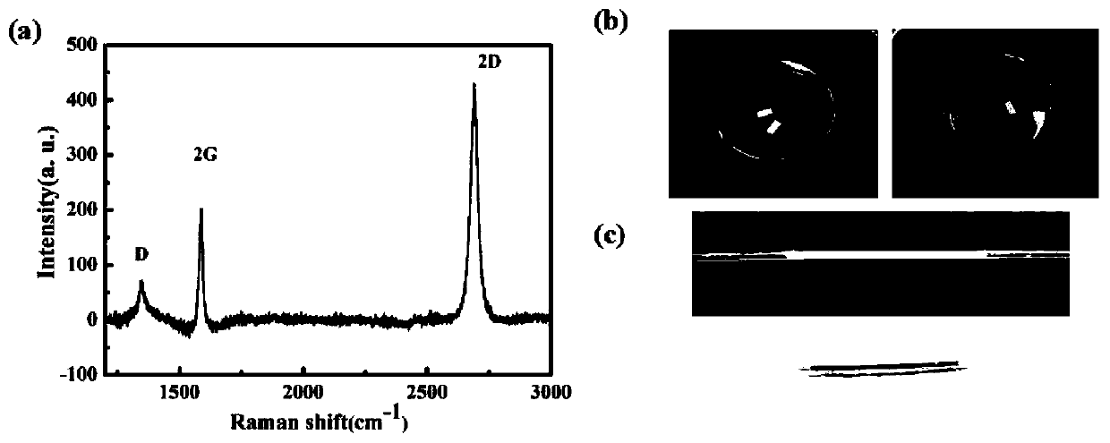Preparation method of D-type plastic optical fiber based on graphene gold film and application of preparation method in an SPR biosensor