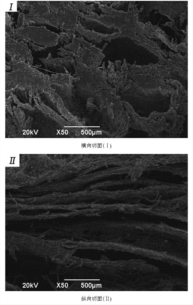 Method for preparing textured wheat protein by adopting twin-screw extrusion