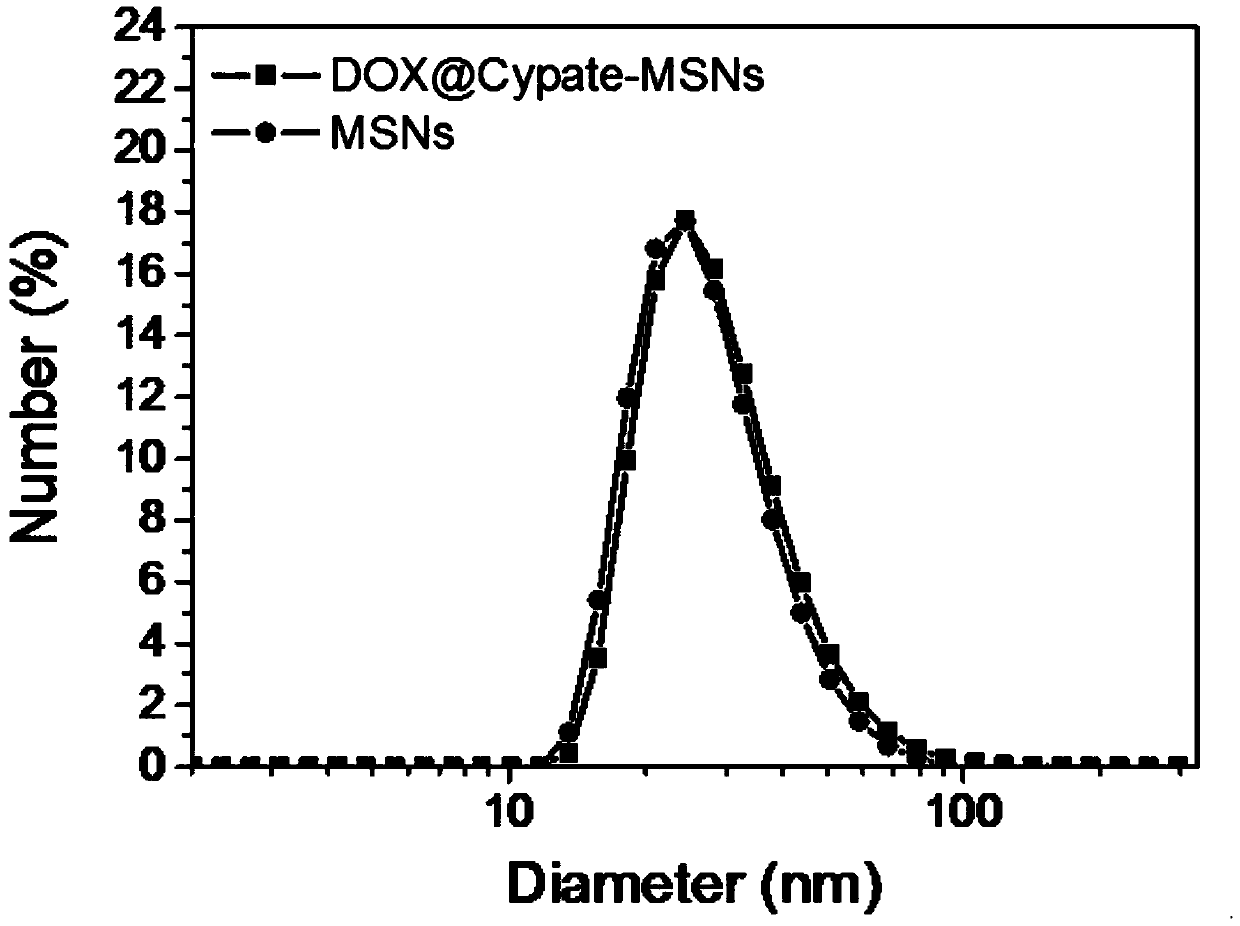 Multifunctional mesoporous silica nanoparticles with near-infrared photothermal and in vivo fluorescence imaging properties, preparation method and application thereof