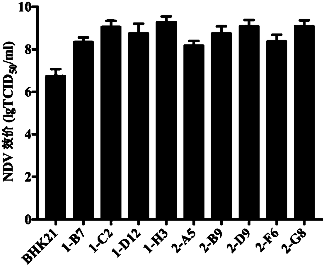 BHK21 cell group with reconstructed innate immune system and cell clone potentiation application