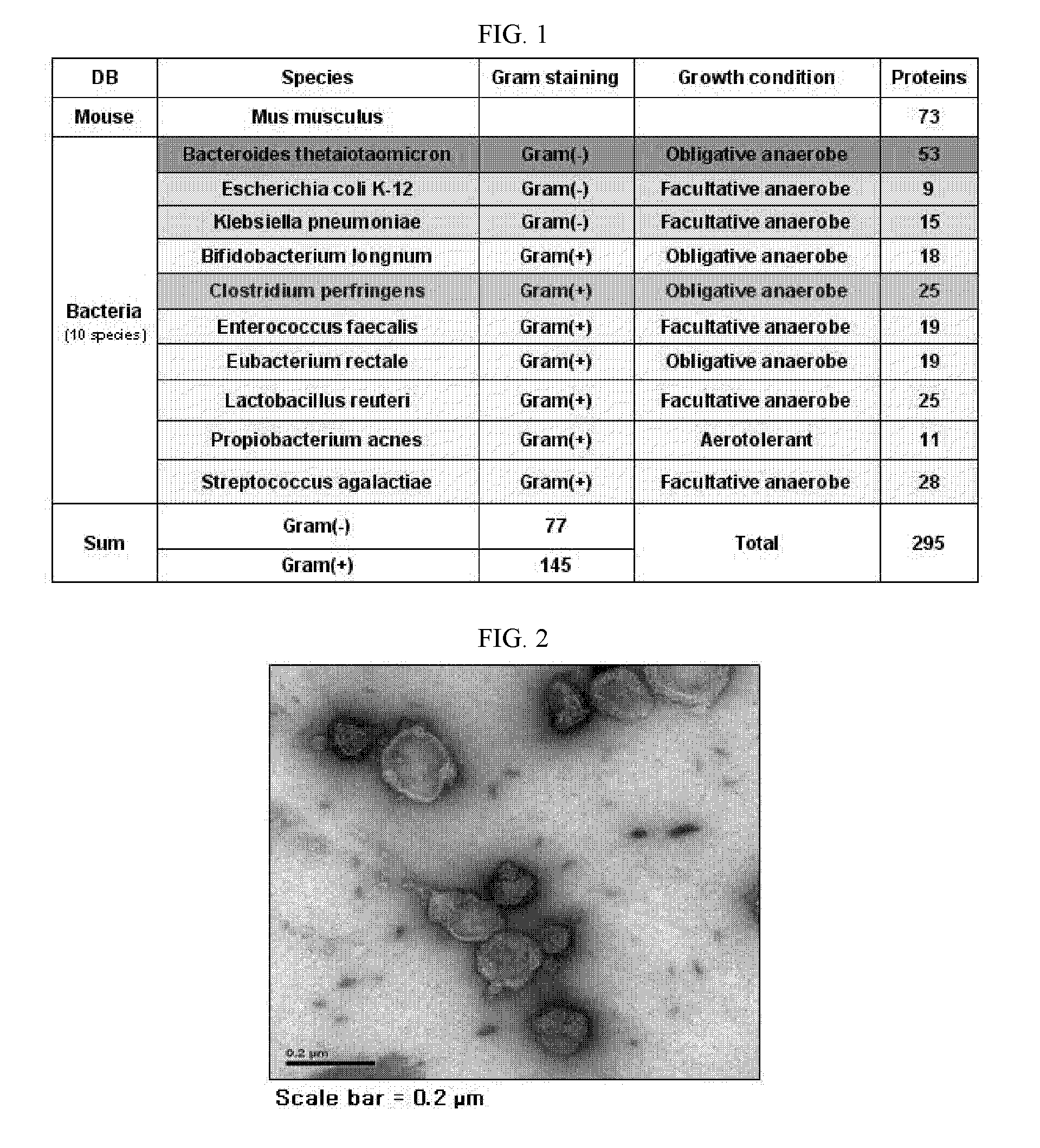 Gut flora-derived extracellular vesicles, and method for searching for a disease model, vaccine, and candidate drug and for diagnosis using the same