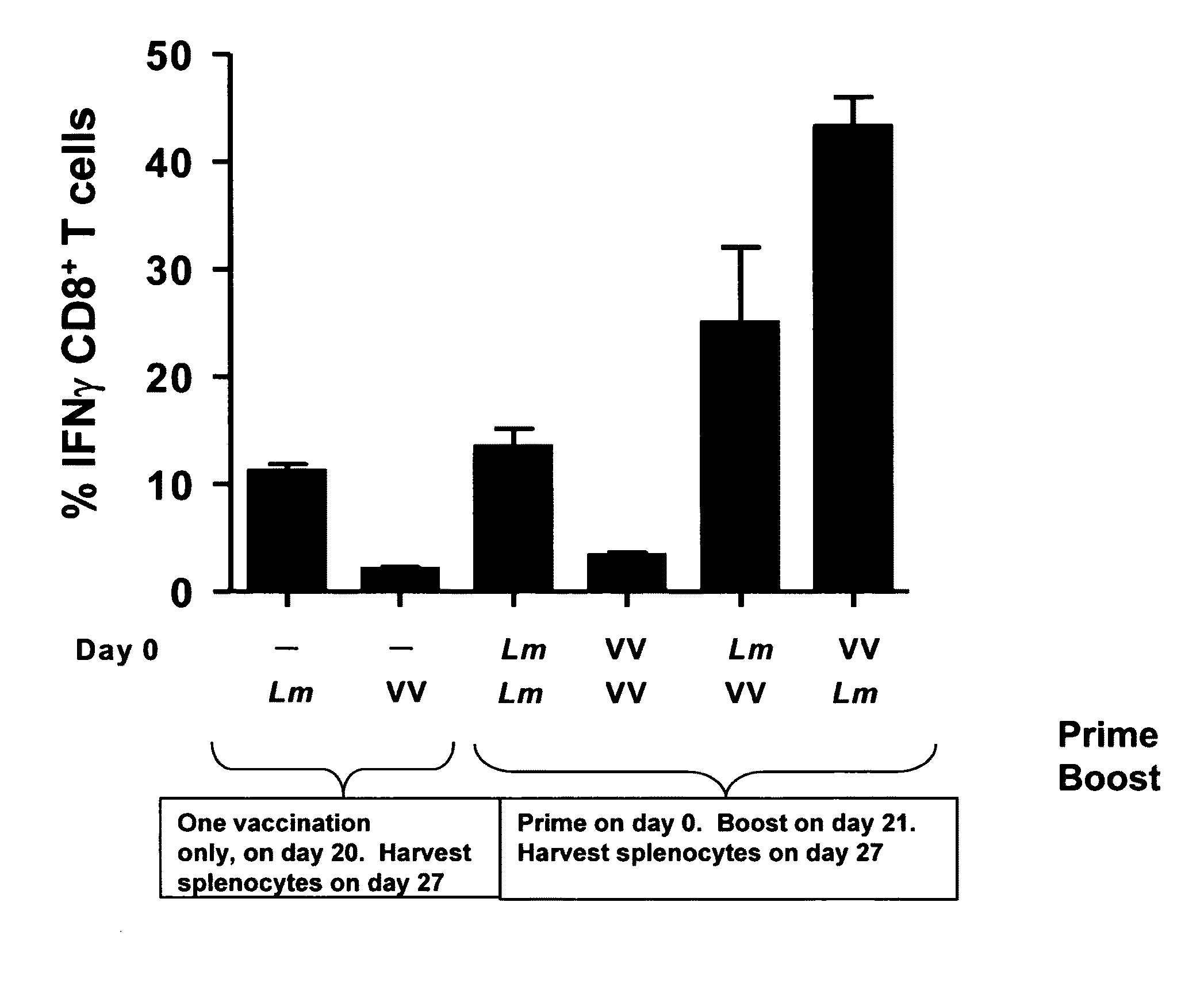 Methods and compositions using listeria for enhancing immunogenicity by prime boost