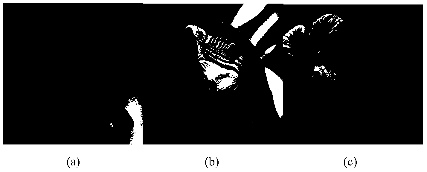 Image super-resolution reconstruction method based on multi-layer supporting vectors