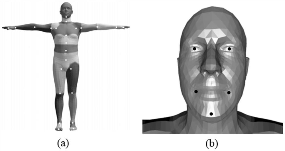 A Method for Pose and Shape Reconstruction of 3D Human Model from Video Sequence