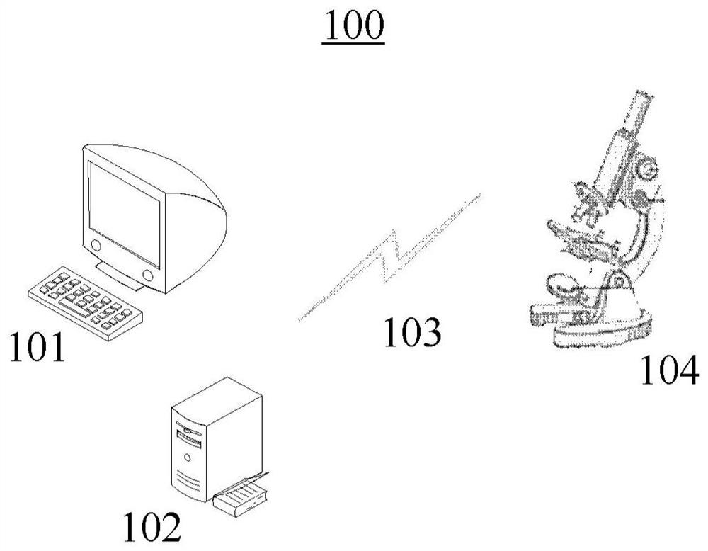 Whole brain data storage method and system, electronic equipment and storage medium