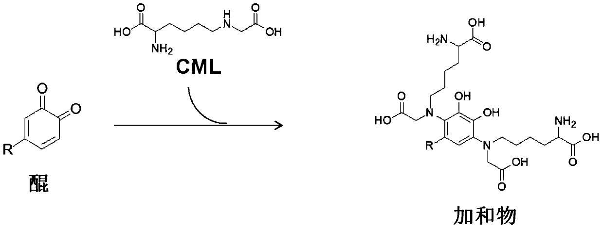 A kind of carboxymethyl lysine remover and its application