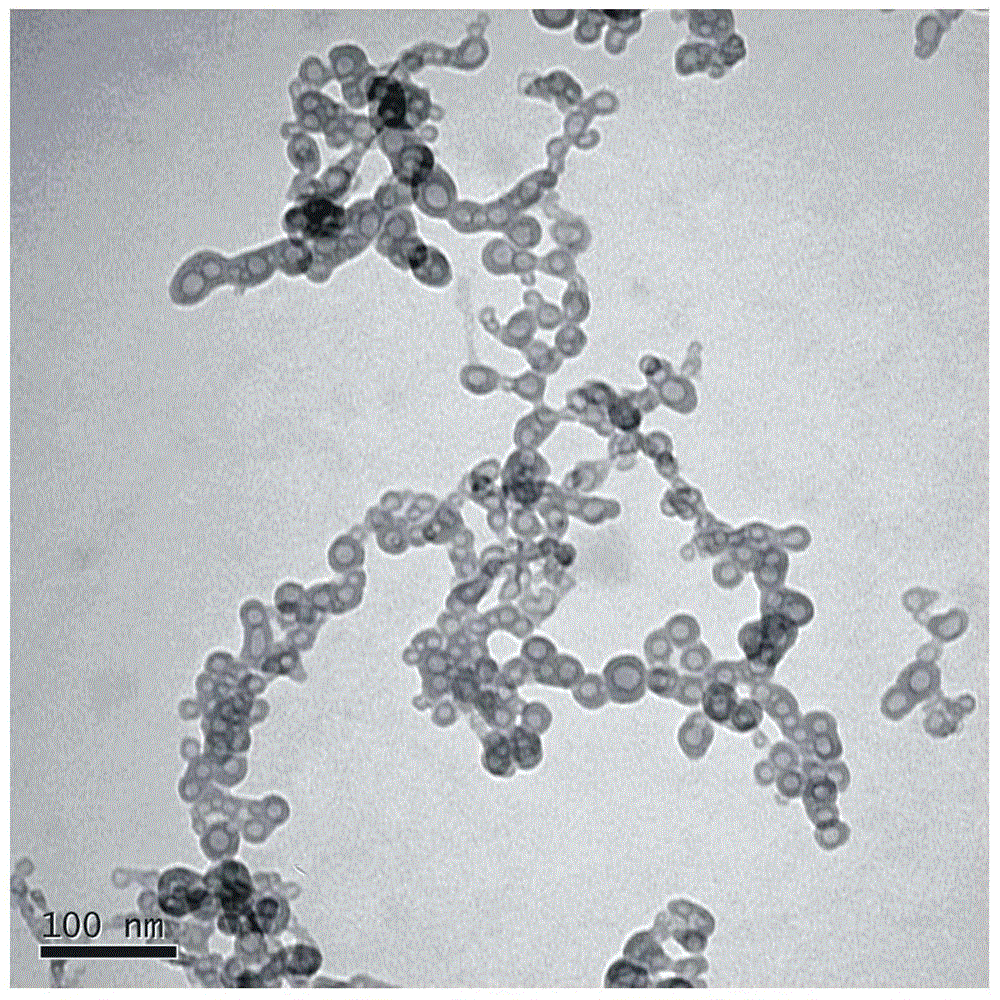 A nano-spherical hollow hydroxyapatite powder and its preparation method