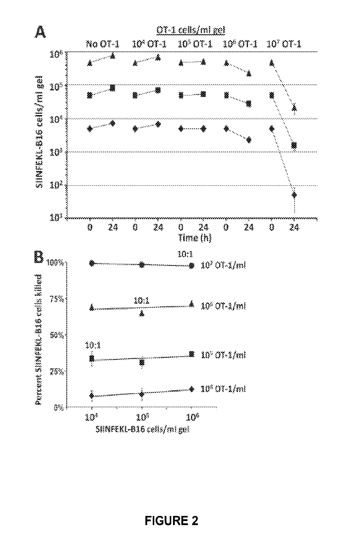 Assays for determining the effect of an immune cell on a cell from an infectious or neoplastic disease