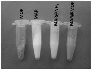 Microporous polymer coated hydrophilic resin and application thereof in glycopeptide enrichment